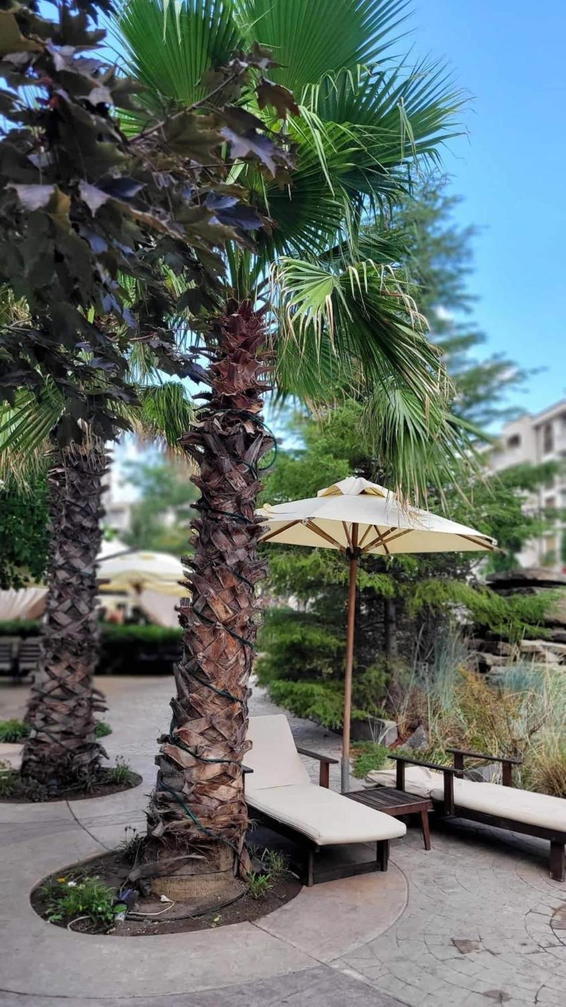 Wonderful Deluxe In Cascadas Family Sunny * Sunny Beach